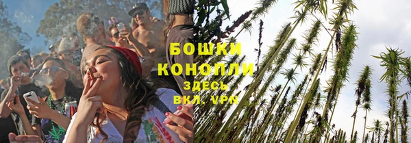 PSILOCYBIN Аркадак