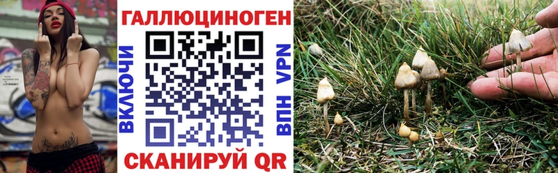 omg ссылка  Петропавловск-Камчатский  Галлюциногенные грибы Magic Shrooms 